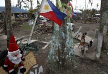 Paskwang mamaea, kabay nga indi man matabo