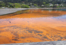 Coastal areas it banwa it Batan, Altavas ag New Washington uwa it presensya it red tide toxin