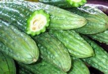 Benepisyo nga gina-angkon it tinuea nga amaragoso