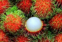 Benepisyo sa eawas sa pagkaon it rambutan