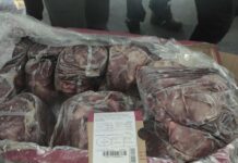 Masobra P63-M haega it smuggled frozen foods maghalin sa Hong kong ag China, nakumpiska it Bureau of Customs
