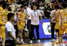 Growling Tigers coach Bal David nagpanaog sa puwesto