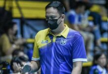 Alinsunurin out eon bilang head coach it national team
