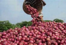 Pangueong Marcos, pagapueongon ro agriculture stakeholders, presyo it sibuyas, nagapangunang paga-istoryahan