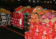 Haeos P5-B duties ag taxes naduea sa gobyerno bangud sa agri-smuggling – Salceda