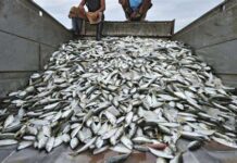 Supply it isda sa mga baealigyaan sa Aklan, kueang eon