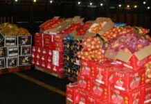 Masobra 24B haega it smuggled goods, nasabat sa nasyon ko 2022 – Bureau of Customs