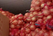 P17M haega it smuggled nga dueaw nga sibuyas maghalin sa China, nadiskubre it Bureau of Customs