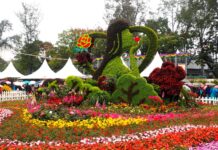 Spring season, nag-umpisa eon sa Hong Kong; Flower festival gina-abangan it mga pumueoyo