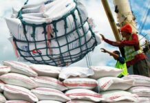 Sigidas nga importation sa agricultural products apisar nga nagaintra eon ro nasyon sa mga agreement it world trade organization–Kabataan Partylist