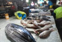 Vendors sa Kalibo public market nag-apela nga inde pagtaw-an it extension it LGU ro mga vendors sa mga talipapa