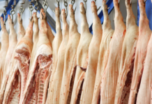 Gov. Miraflores, nagpagguwa it EO angot sa temporaryong pagbawae it pagpagguwa it karne it baboy agud nga ibiyahe sa ibang probinsya