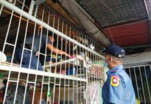 Greyhound inspection sa BJMP Aklan, naging madinaeag-on