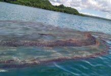 Caluya, Antique ginpaidaeom eon sa state of calamity matapos maapektuhan it oil spill