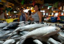 LGU ag BFAR, nagpatigayun it inspeksyon sa fish section it Kalibo Public Market
