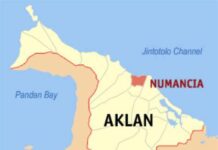 Punong Barangay it Camanci Sur, Numancia, ginkumpirma nga owa nakasayod nga may krimen nga natabu sa sueod it mahogany plantation