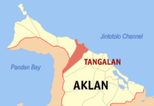 Sangka nanay, hugot nga ginpamalibaran ro alegasyon nga pagpanakaw sa anang onga
