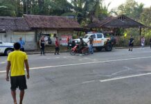 LGU Banga nag-instrikto kontra sa African swine fever