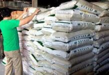 Pagpataas sa rice buffer stock, kinahangean antes pa man nga mag epekto ro El Niño suno sa NEDA