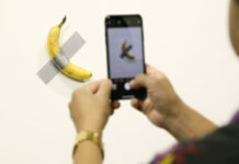 Saging nga naka-exhibit sa museo bilang artwork, ginkaon it sambilog sa mga visitor!