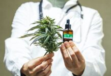 Medical cannabis laboratory, haum eon