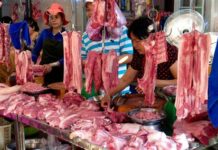 Permit to transport ag barangay certification, kinahangean antes makasueod sa Kalibo ro mga baboy nga ginapakatay
