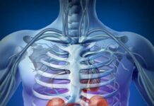 Paalin nga aalagaan ro Kidneys