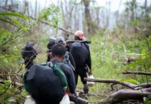 Engkwentro sa tunga it 12th Infantry Batallion Philippine Army ag CPP-NPA sa Sitio Itabag, Barangay Manika, Libacao, owa it direktang epekto sa industriya it turismo sa isla it Boracay