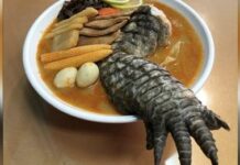 Ramen nga may siki it buwaya, masamitan sa sangka ramen restaurant sa Taiwan!