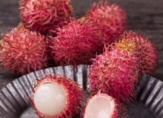 Busoe it rambutan, nagtubo sa tutunlan it 70-anyos nga eaeaki sa Malaysia