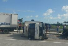 Delivery truck nga may kargang frozen products, natumba sa Diversion road nga sakop it Carugdog, Lezo