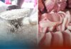 Federation of Free Farmers, nanawagan ng pansamantalang pagsuspinde sa importasyon ng baboy at pagrepaso sa pag-angkat ng bigas