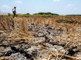 OCD-Region VI, ginsuportahan ro panawagan ni PBBM nga mag-tipon it tubi-uean sa atubang it nagahilapit nga Very Strong El Niño