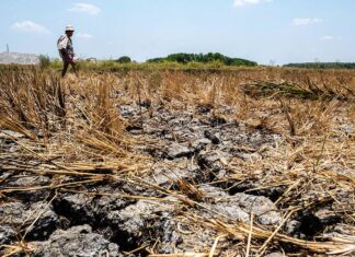 OCD-Region VI, ginsuportahan ro panawagan ni PBBM nga mag-tipon it tubi-uean sa atubang it nagahilapit nga Very Strong El Niño