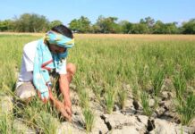 Gobyerno, nagsimula nang maghanda noon pang 2025 laban sa epekto ng Super El Niño