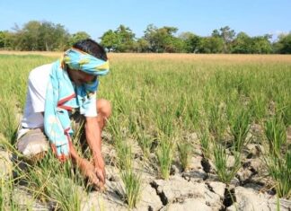 Gobyerno, nagsimula nang maghanda noon pang 2025 laban sa epekto ng Super El Niño