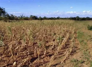 OCD-Region VI, ginsuportahan ro panawagan ni PBBM nga mag-tipon it tubi-uean sa atubang it nagahilapit nga Very Strong El Niño