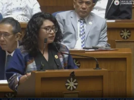 Renee Co, ginasueong ro proteksyon sa digital rights it mga pamatan-on ; kontra sa total social media ban