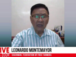 Federation of Free Farmers, nananawagan ng pansamantalang pagsuspinde sa importasyon ng baboy at pagrepaso sa pag-angkat ng bigas