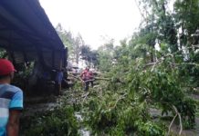 1 patay, duha pilason matapos matumbahan sang kahoy samtang nagasilong sa covered court sa Lake Sebu, SoCot