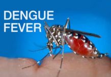 Task Force Kontra Dengue, gindihon agud mapakigbatuan ang dengue outbreak sa South Cotabato