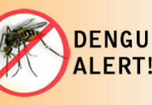 Deklerasyon sang State of Calamity sa North Cotabato, ipatuman na; 16 patay napagkit nga patay bangud sa dengue