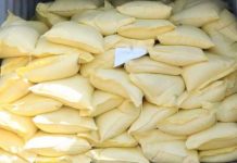 SoCot Prov’l gov’t, may ginhan-ay nga mga programa agud mabuligan ang mga mangunguma nga apektado sang Rice Tarrification Law