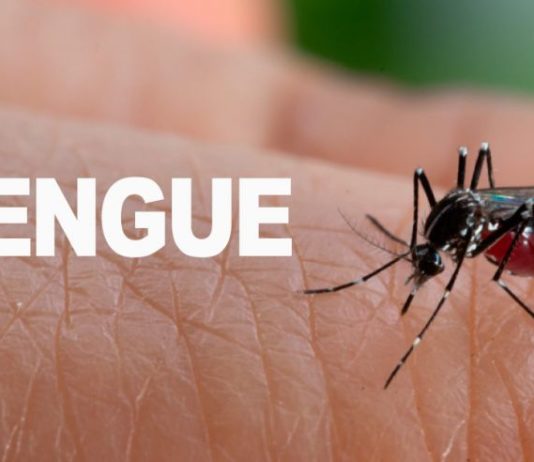 DOH, nagapati nga ang pagsaka sang kaso sang dengue tuga sang climate change