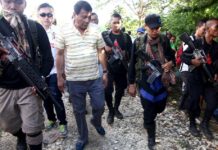 Kapin 100 NPA members na nagsungka humalin sang 2013 – PNP