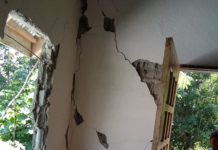 Web Application nga sarang ma-detect ang lokasyon sang fault kag iban nga earthquake hazards, ginpakigbahin sang DOST