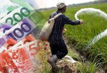 Ex-mayor, incumbent v-mayor kag iban pa, guilty sa fertilizer fund scam