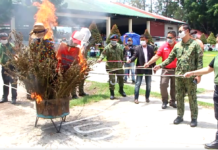 Masobra P7 million nga balor sang marijuana plants narekober sa South Cotabato