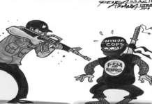 Ninja cops, posible nga nagakatabo man sa region 12 – Rasalan