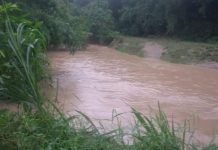 6 barangay apektado sa flashflood kag landslide sa Bagumbayan, Sultan Kudarat; damage assessment nagapadayon